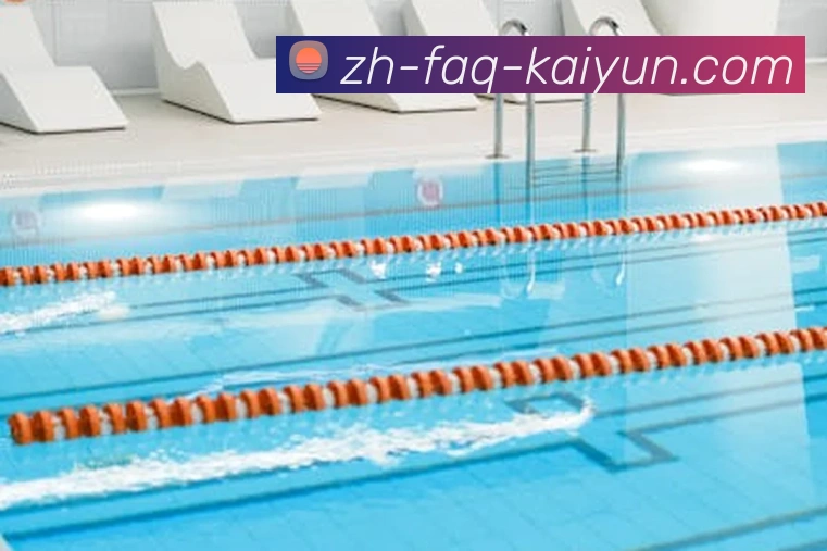 开云平台生态图